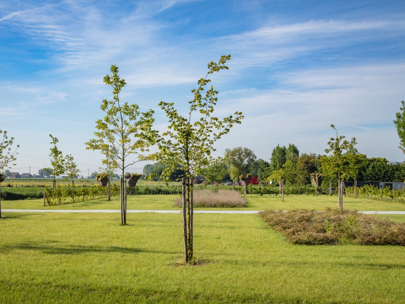 Parkbegraafplaats Woumen  - De Witte Kamer - Landschapsarchitectuur en interieurarchitectuur voor kleine, grote en zotte projecten